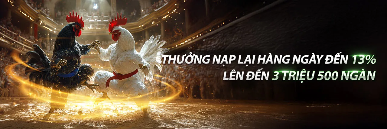 Đá Gà Trực Tuyến Hấp Dẫn tại gacam67